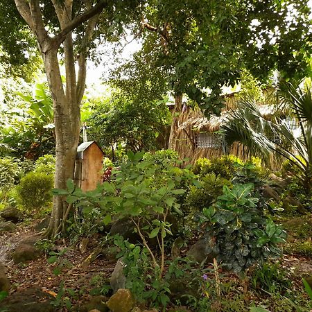 El Bamboo Cabins Balgue Εξωτερικό φωτογραφία