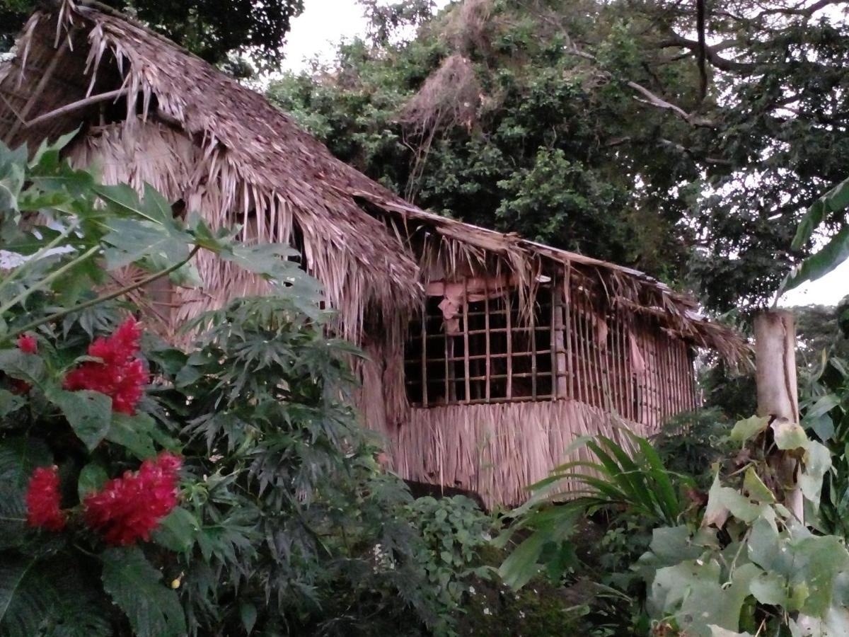 El Bamboo Cabins Balgue Εξωτερικό φωτογραφία