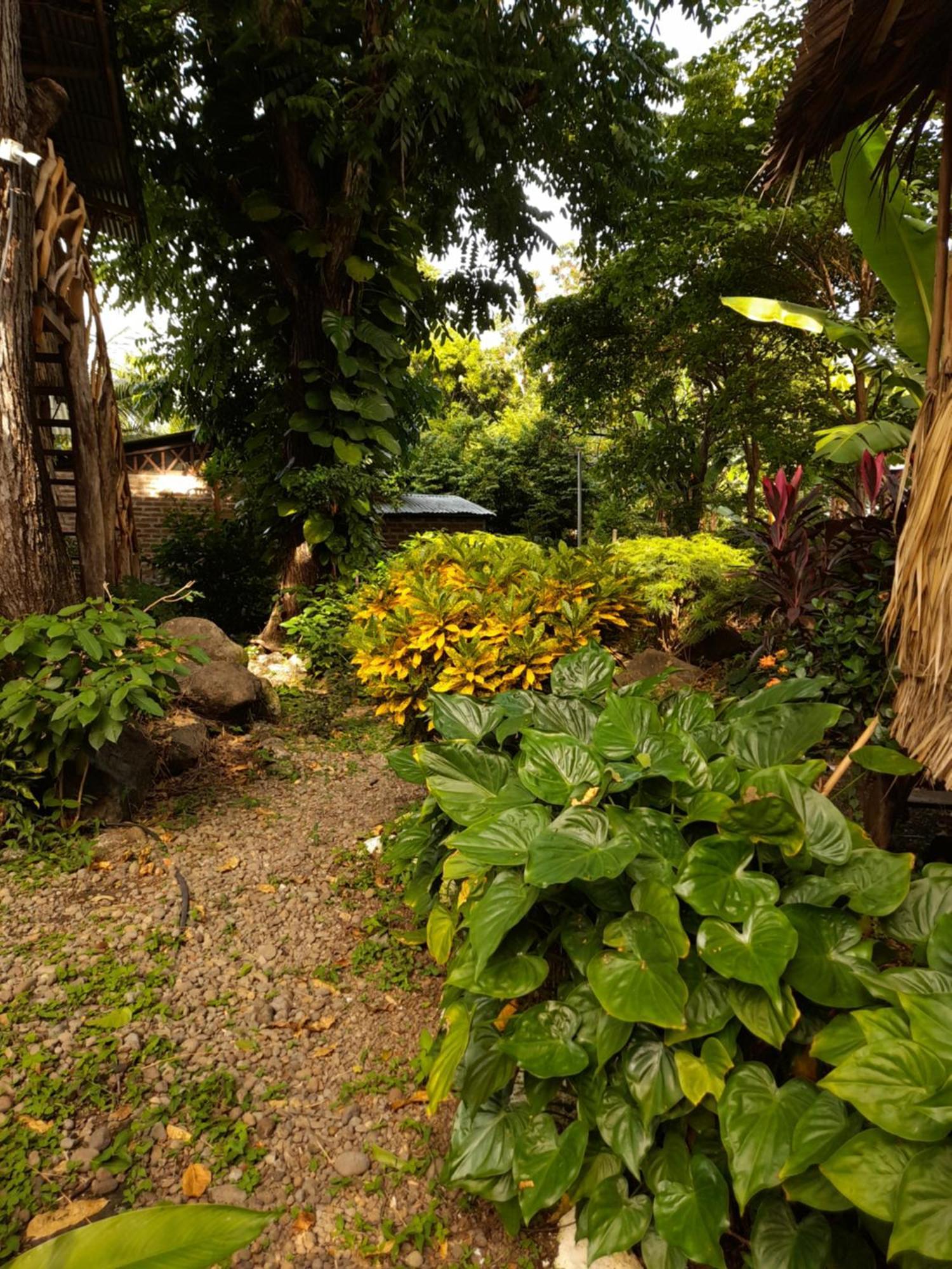 El Bamboo Cabins Balgue Εξωτερικό φωτογραφία