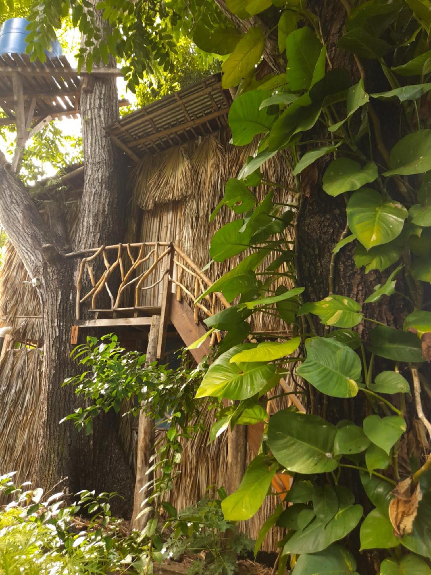 El Bamboo Cabins Balgue Εξωτερικό φωτογραφία