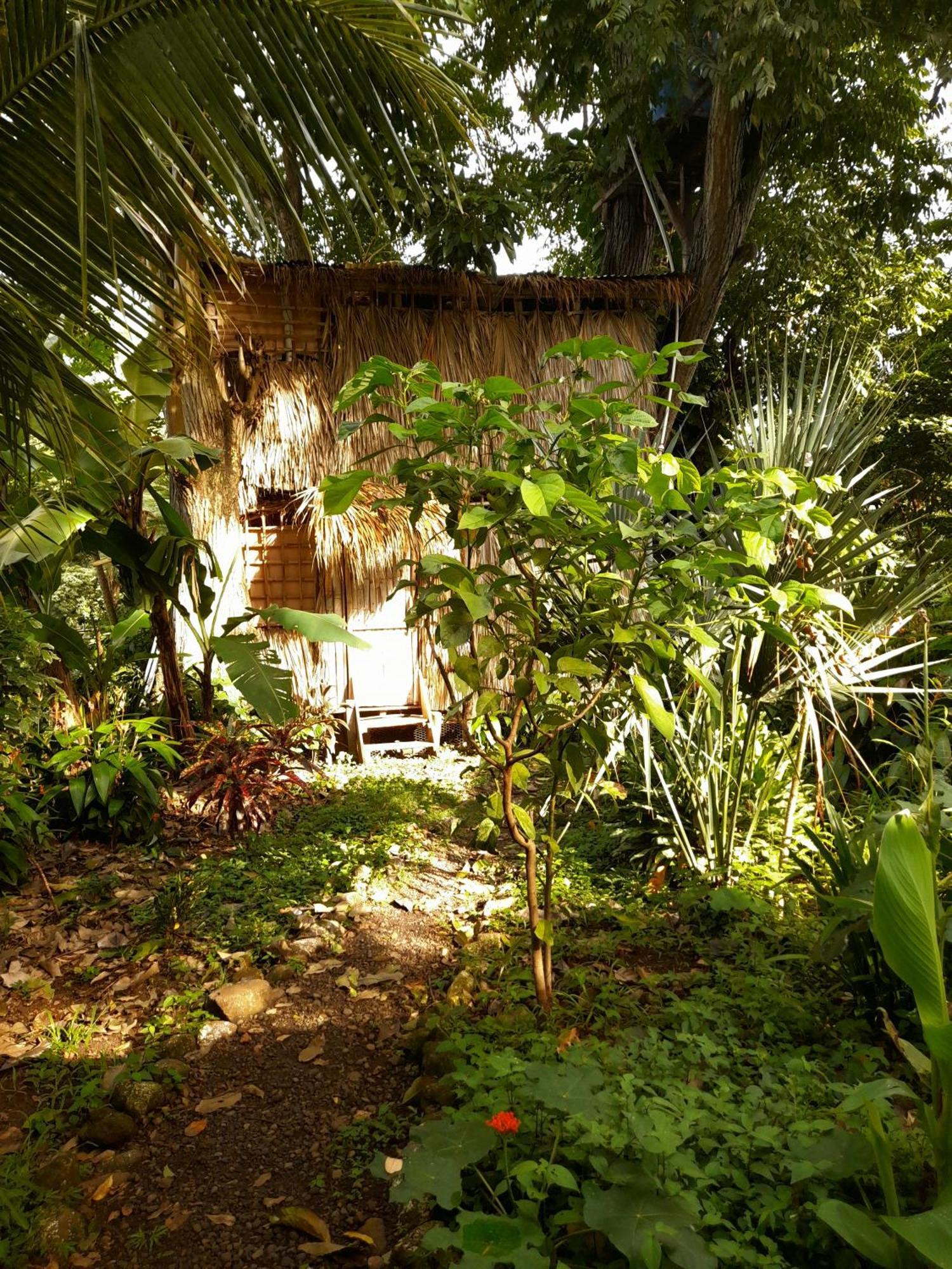El Bamboo Cabins Balgue Εξωτερικό φωτογραφία